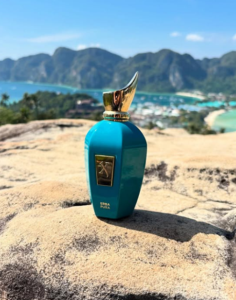 insta odor 2