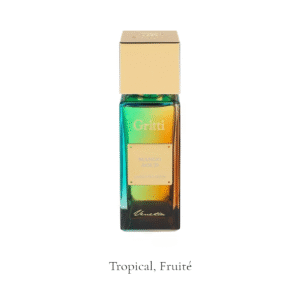 mango aoud gritti