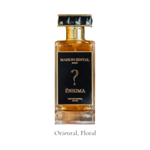 enigma maison sental